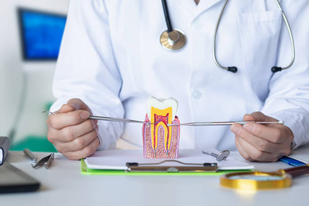 Best Emergency Dentist for Special Needs Patients in Des C, AR